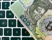 南非总统呼吁非洲统一货币，它可能是数字货币